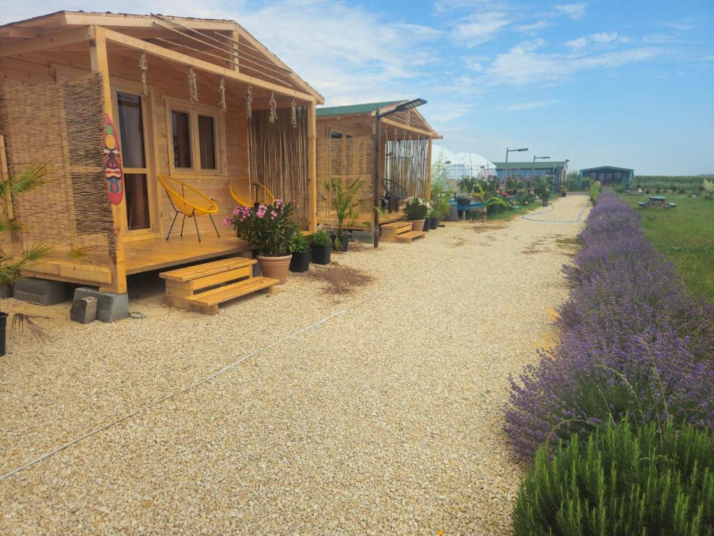 a row of houses with flowers on a gravel road at Mar a Lago Glamping23 in Douăzeci şi Trei August