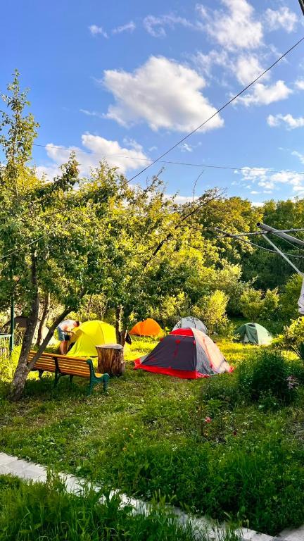 a group of tents in the grass next to a park at Tamara B&B in Dsegh