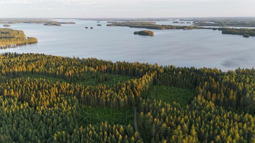 an aerial view of a large lake with trees at Happy place in Kitee