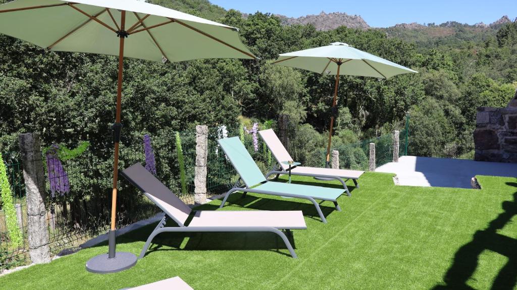 a group of chairs and umbrellas on a lawn at Casas Vale do Laboreiro in Castro Laboreiro