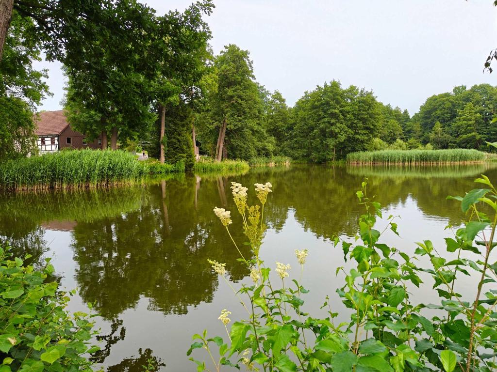 a pond with trees and a house in the background at 3-room vacationapartm Sax Switzerland very basic in Lauterbach