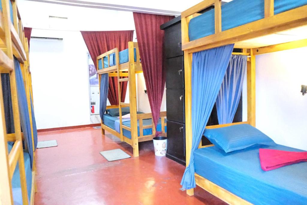 a room with four bunk beds in it at Wonder Surf Hostel in Arugam Bay