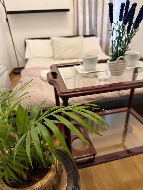 Beautiful apartment next to the Royal Palace in Madrid