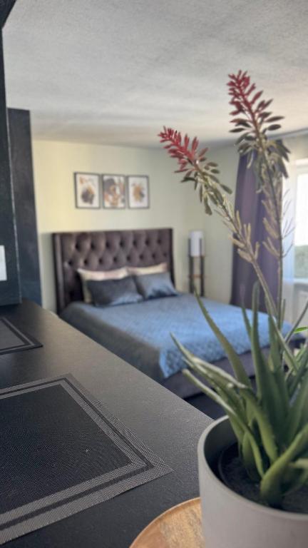 a bedroom with a bed and a potted plant at TEATRA Apartamenti in Liepāja