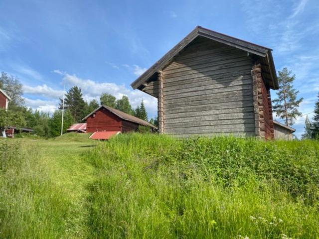 an old barn in a field of tall grass at Bagarstugan in Älvdalen