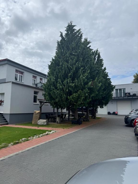 a large tree in front of a white building at Rado Apartments in Jezersko
