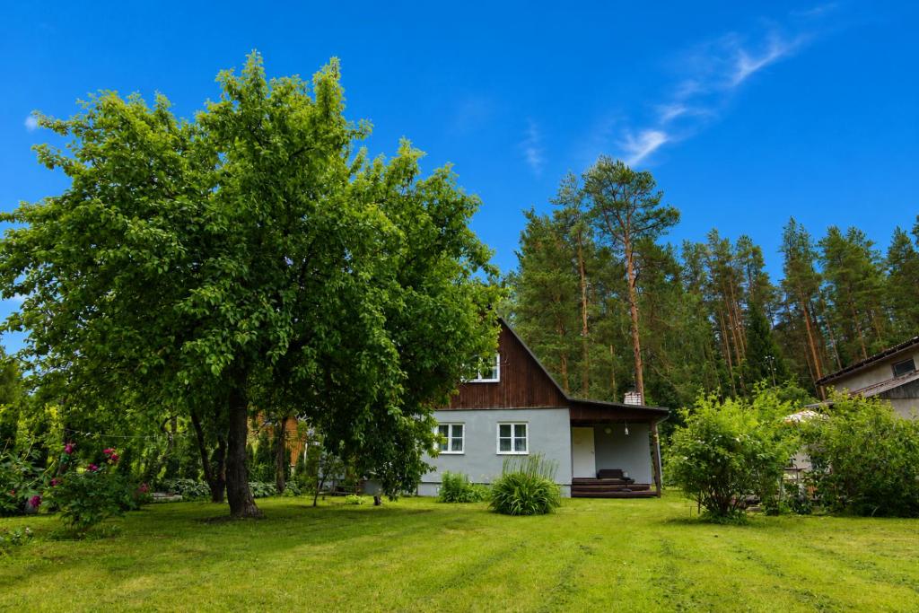 a house with a tree in front of a yard at Türi Puhkemaja - Murunella in Türi