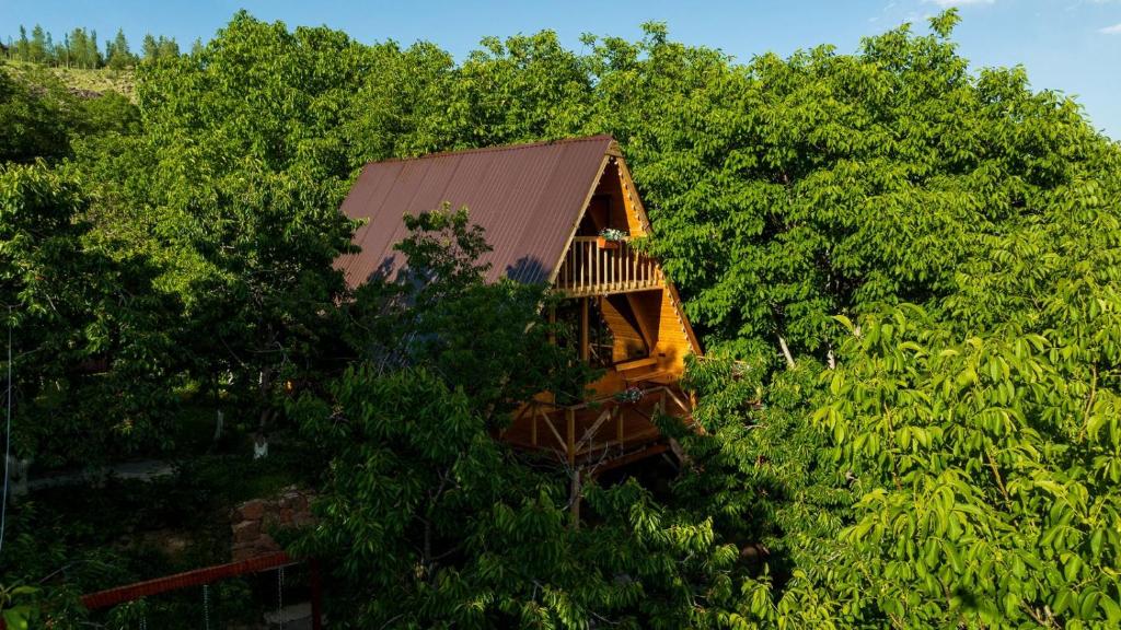 a tree house in the middle of trees at Byurakan Cottages in Antarut