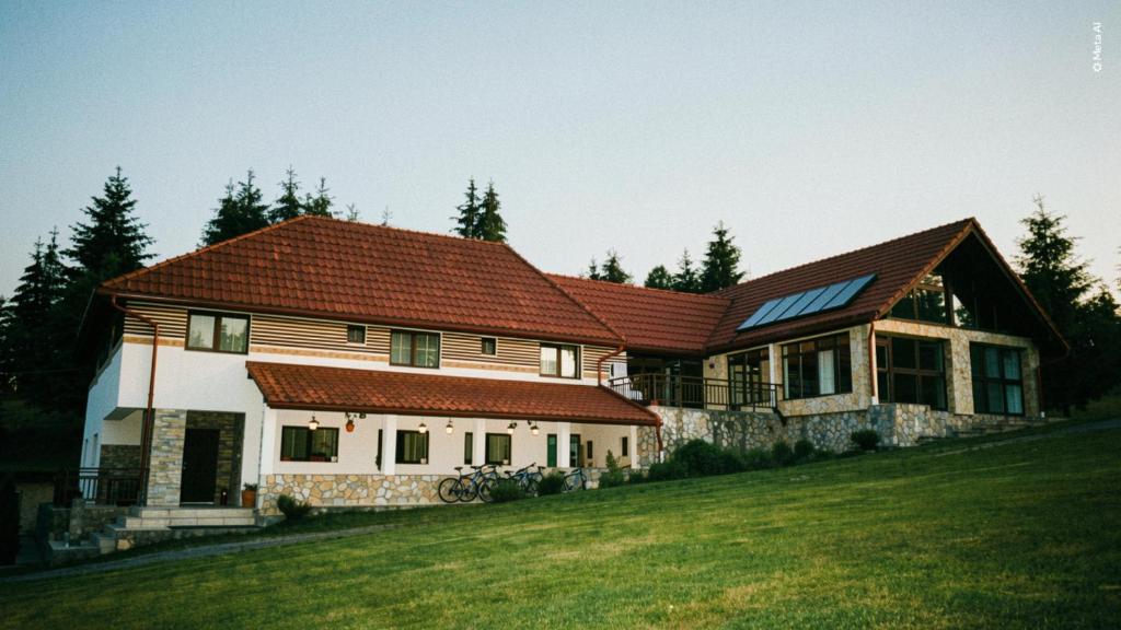 a house with a red roof on a green field at Pensiunea Romconcord in Bălceşti
