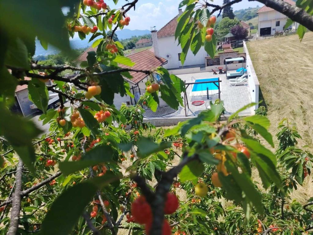 a house with a pool and an orange tree at Todorović SPA & bazen in Velereč