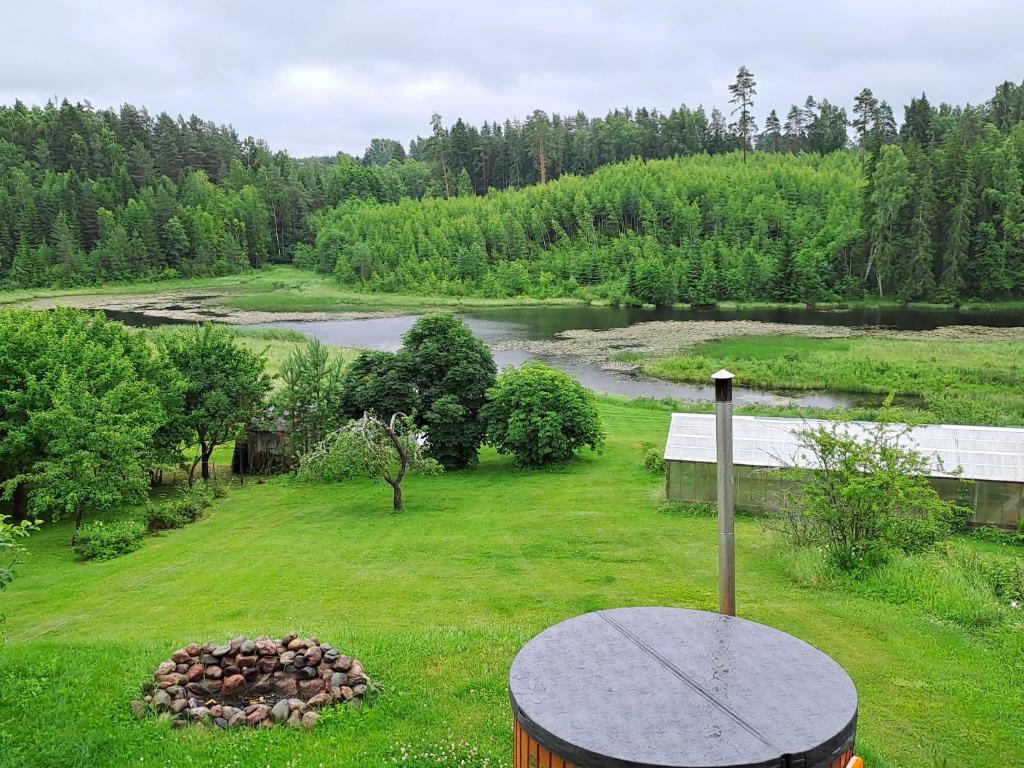 a view of a yard with a fire pit and a river at Tuule in Jeedasküla