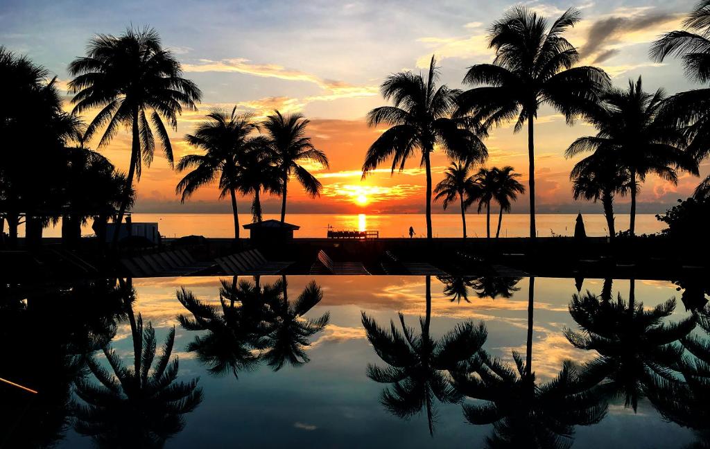 a sunset with palm trees and a swimming pool at B Ocean Resort in Fort Lauderdale