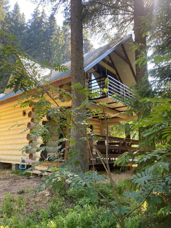 a log cabin in the woods with a tree at Подих Лісу 2 in Synevyrsʼka Polyana