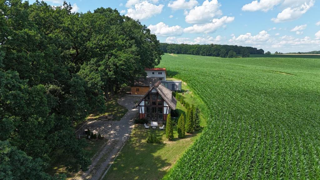 an aerial view of a house in the middle of a field at Domki Machnice in Machnice
