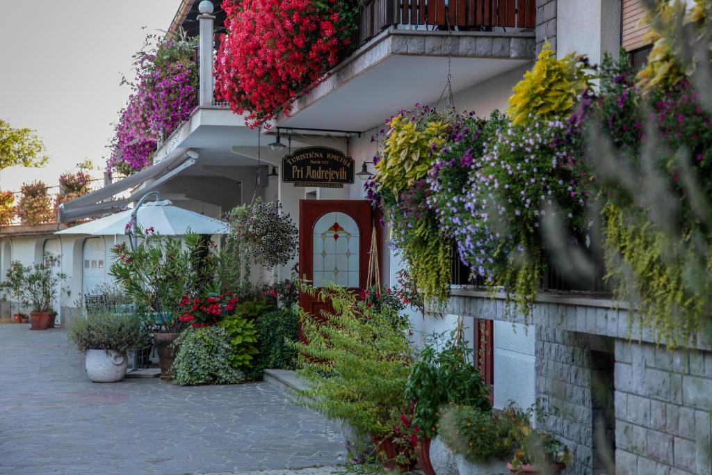 Zahrada ubytování Tourist farm Pri Andrejevih