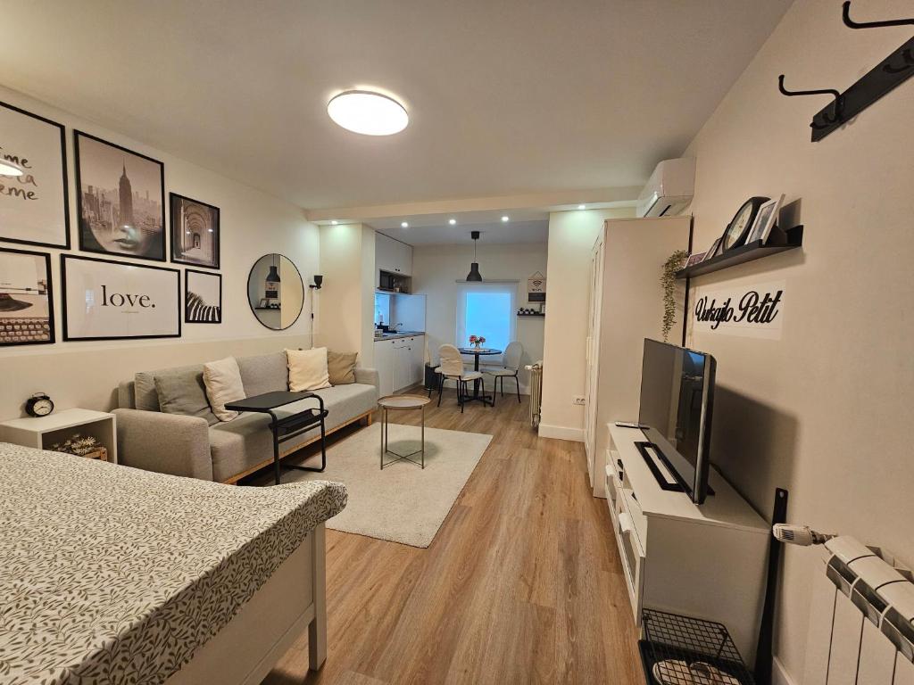 a living room with a couch and a tv in it at Vukajlo Petit in Belgrade