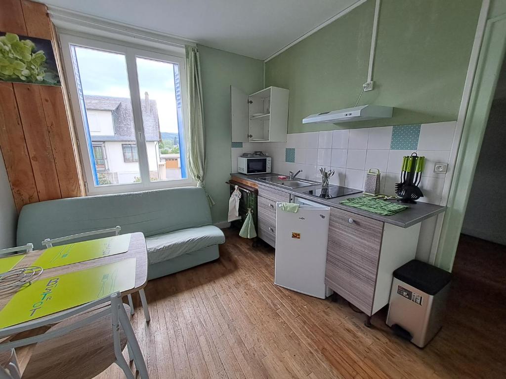 a small kitchen with a sink and a counter at Les Hellébores in Égletons