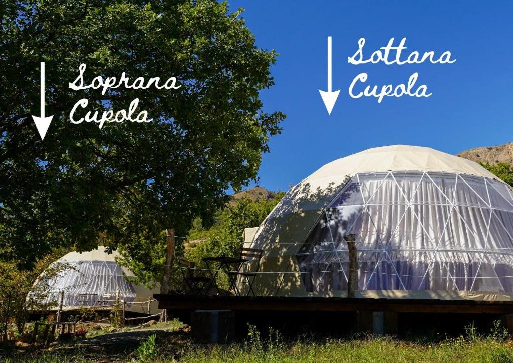 two domes in a field next to a tree at glamping giardino museo a gisa in Petralia Sottana