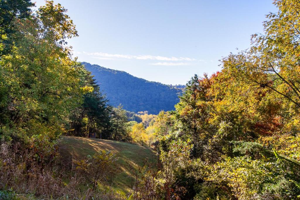 a hill with trees and a mountain in the background at Front-Row Smoky Mountain Views - Mountain View, Fire Pit, Grill in Sevierville
