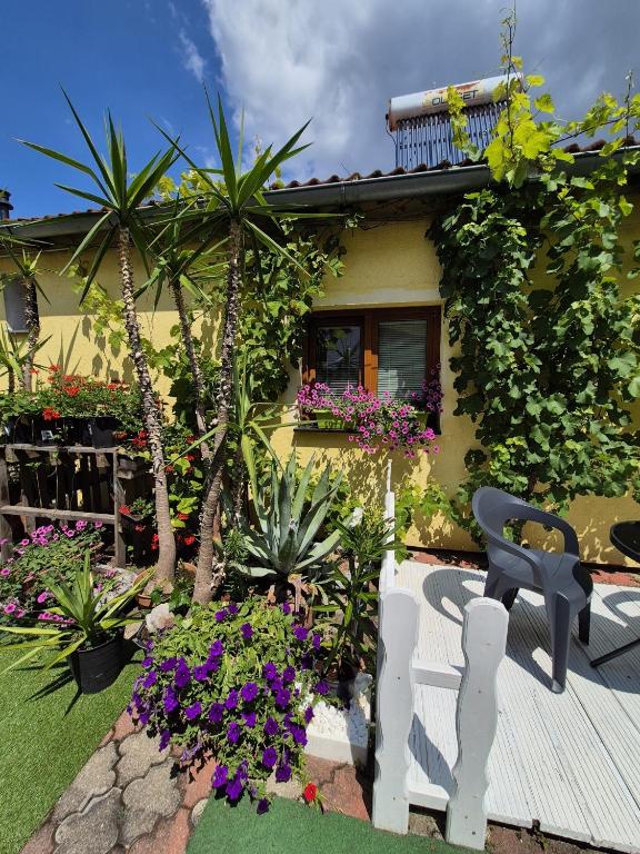 a garden with a house with flowers and plants at Penzion Many Peny in Jindřichŭv Hradec