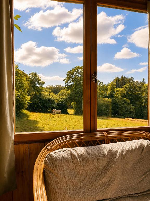 a window with a view of a horse in a field at Tiny house a la ferme in Huelgoat