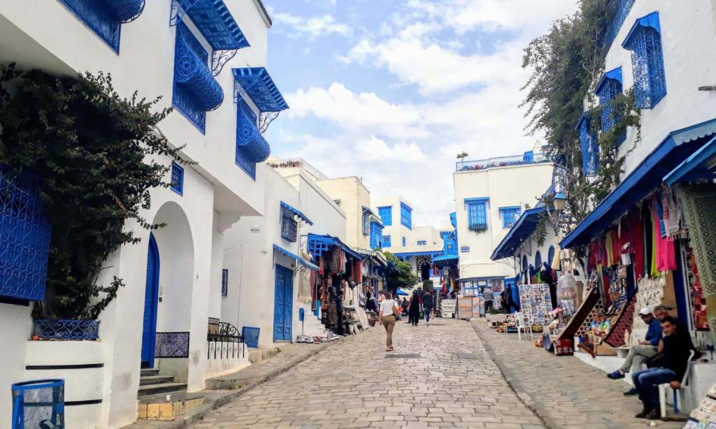 a cobblestone street with blue and white buildings at Sidi studio 8bis in Sidi Bou Saïd