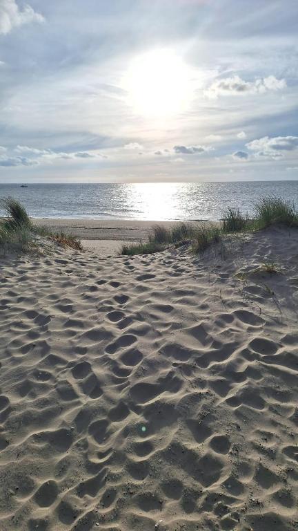 a sandy beach with the ocean in the background at De Strandloper in Petten