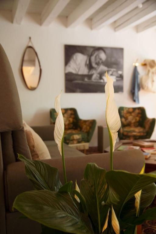 a living room with a couch and a plant at Locanda Hemingway in Bassano del Grappa