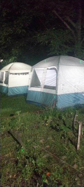 a tent sitting in the grass in a field at eco friendly camping site pahalgam in Pahalgām