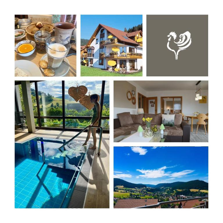 a collage of photos with a man cleaning a swimming pool at Goldener Hahn Residence Ferienwohnungen mit Infrarot Sauna, Panorama Aussicht & Pool, Frühstücksservice im Aparthotel in Baiersbronn