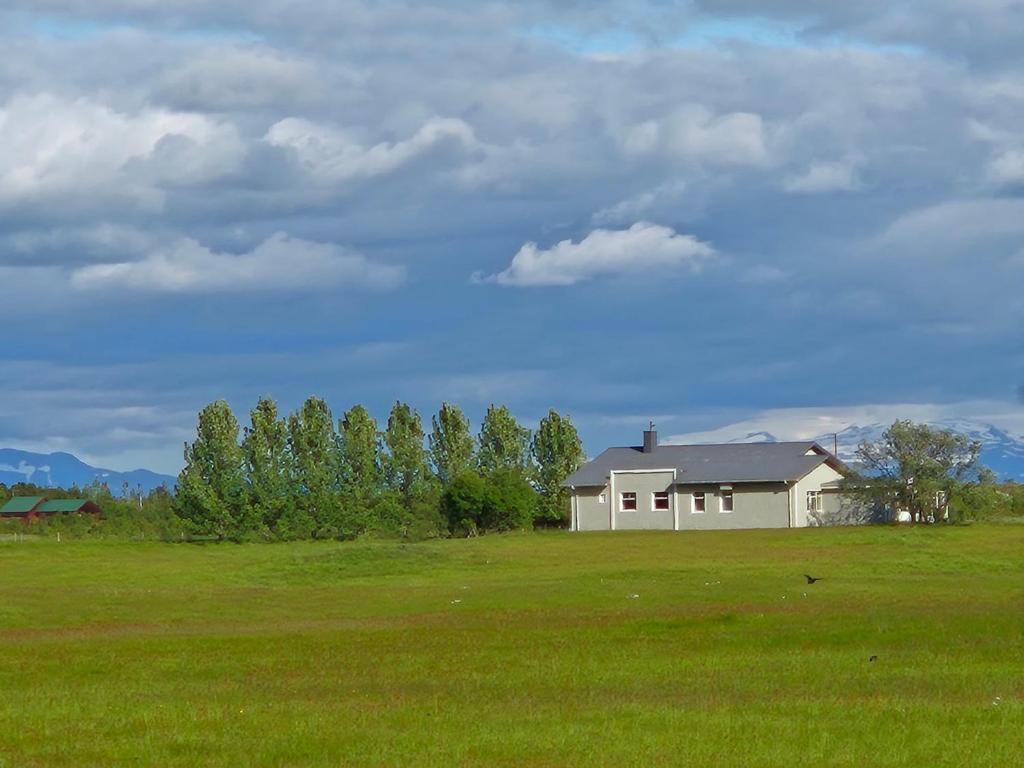 Priroda u blizini of the country house