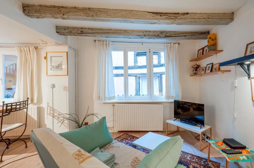 Charmant appartement a coté de la petite France plein centre