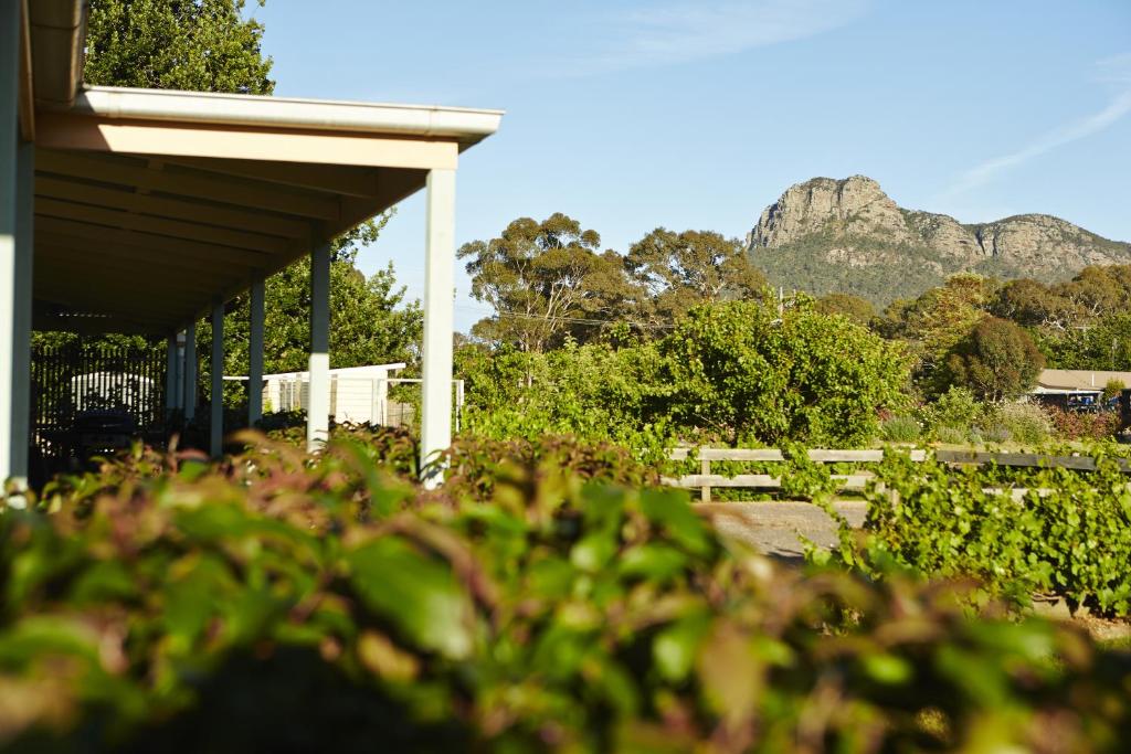 a house with a fence and mountains in the background at Grampians View B&B in Dunkeld