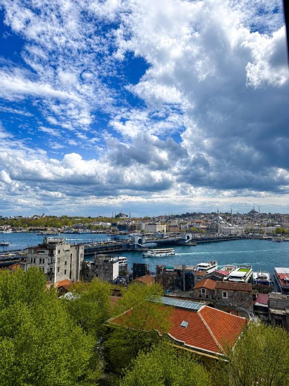 a view of a city with a river and buildings at Art Karakoy Hotel in Istanbul