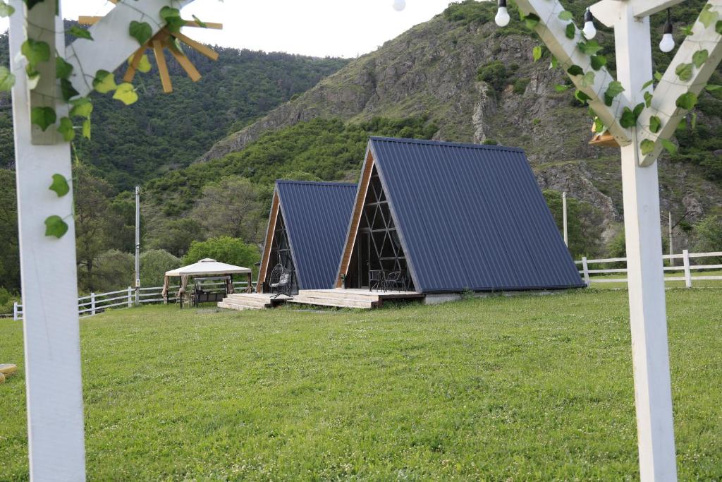 a house with a blue roof in a field at smile cottage in Borjomi