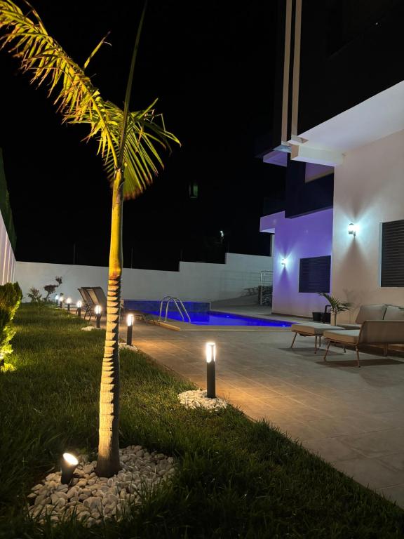 a palm tree with lights in a yard at night at villa HLH in Tangier