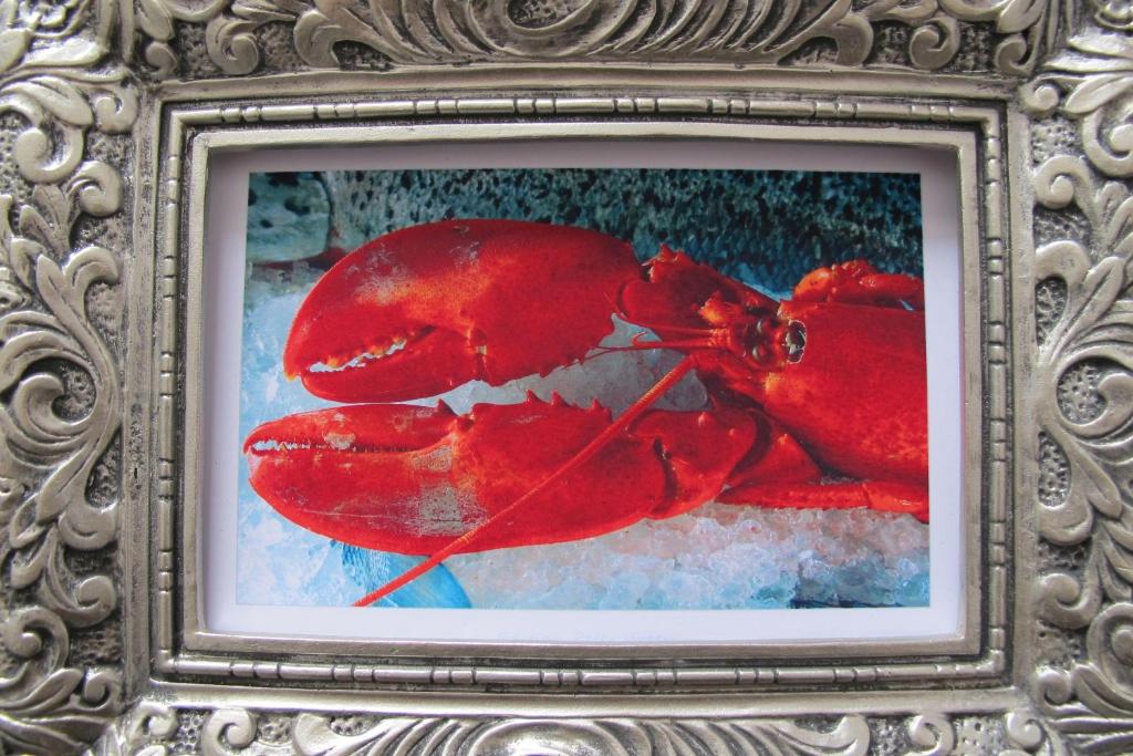 a painting of a red lobster in a frame at Haus-Moewe-Jonathan-Wohnung-1 in Morsum