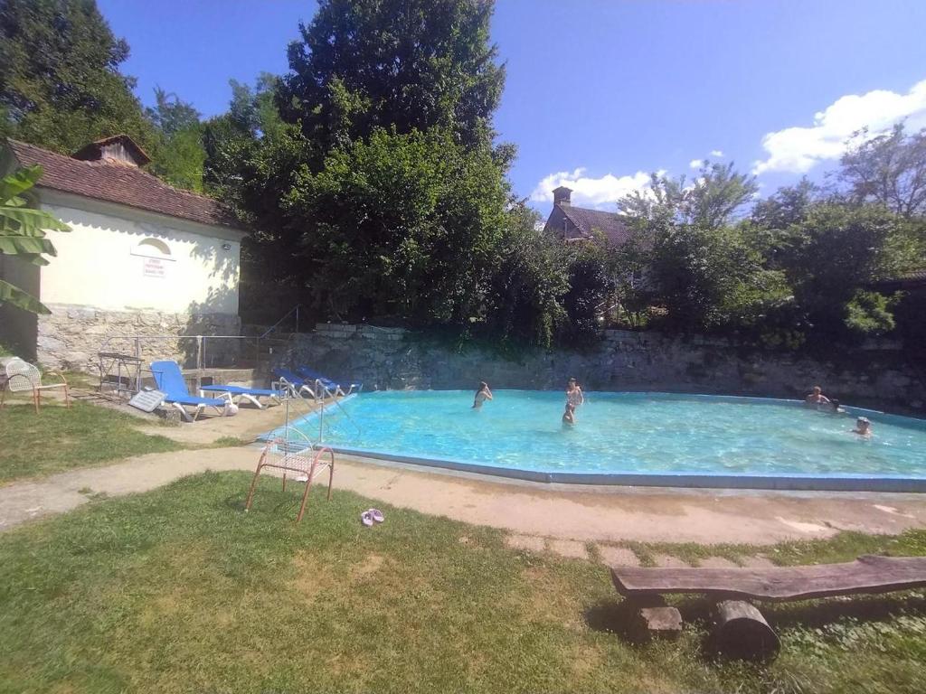 a group of people in a swimming pool at Apartma TI & JAZ in Vrh