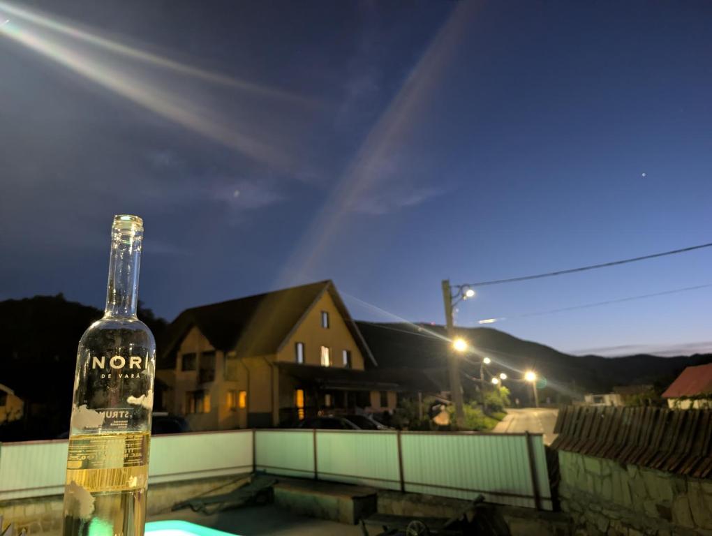 a bottle of wine sitting on top of a house at Pensiunea Teona in Târgu Ocna