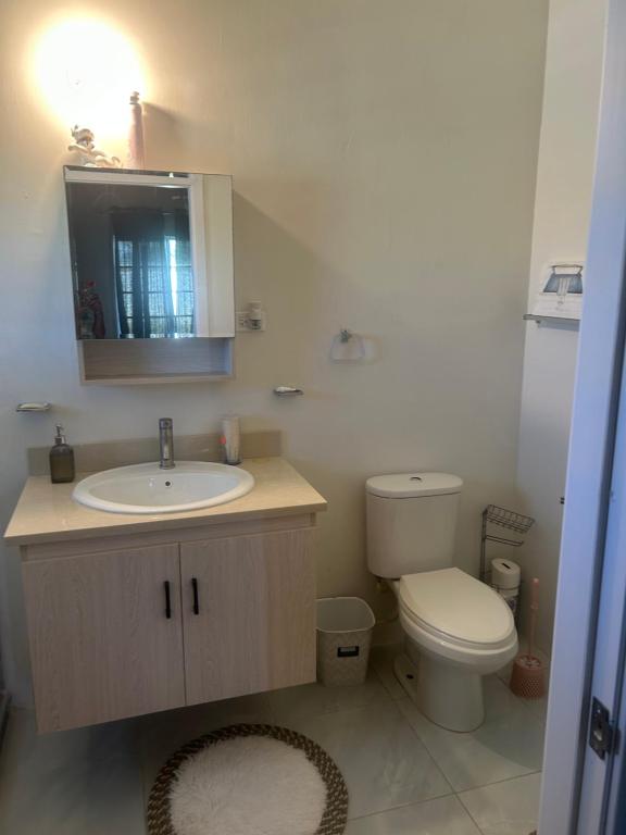 a bathroom with a sink and a toilet and a mirror at Pleasant 1 bed room in Discovery Bay