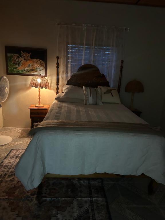 a bedroom with a large bed with a window at Pink house in Port Antonio