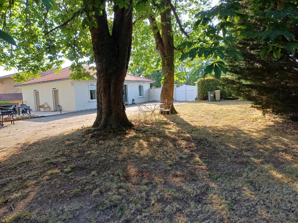 two trees in a yard with a building at Betty in Saint-Gaudens