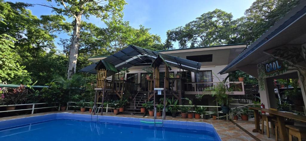 a resort with a swimming pool and a house at Cool Waters Jungle Villas in Uvita