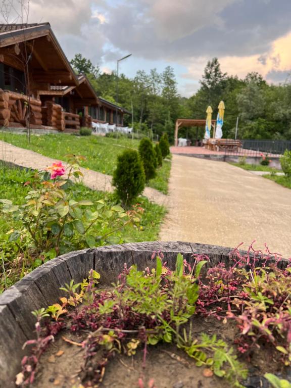 a garden with flowers and a house in the background at Cabanutele M&V INFINIT in Sălătrucel