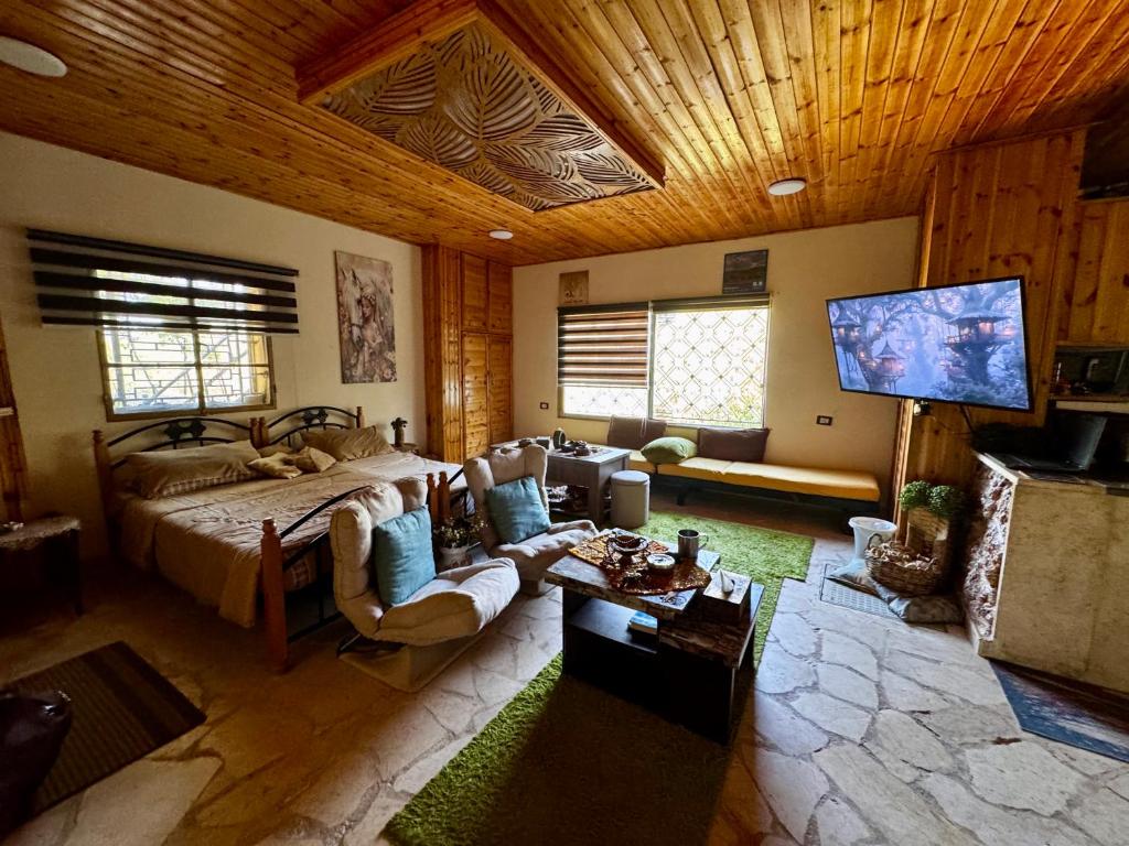 a large room with a bed and a tv in it at Oak Farm مزرعة الملّول in Ajloun