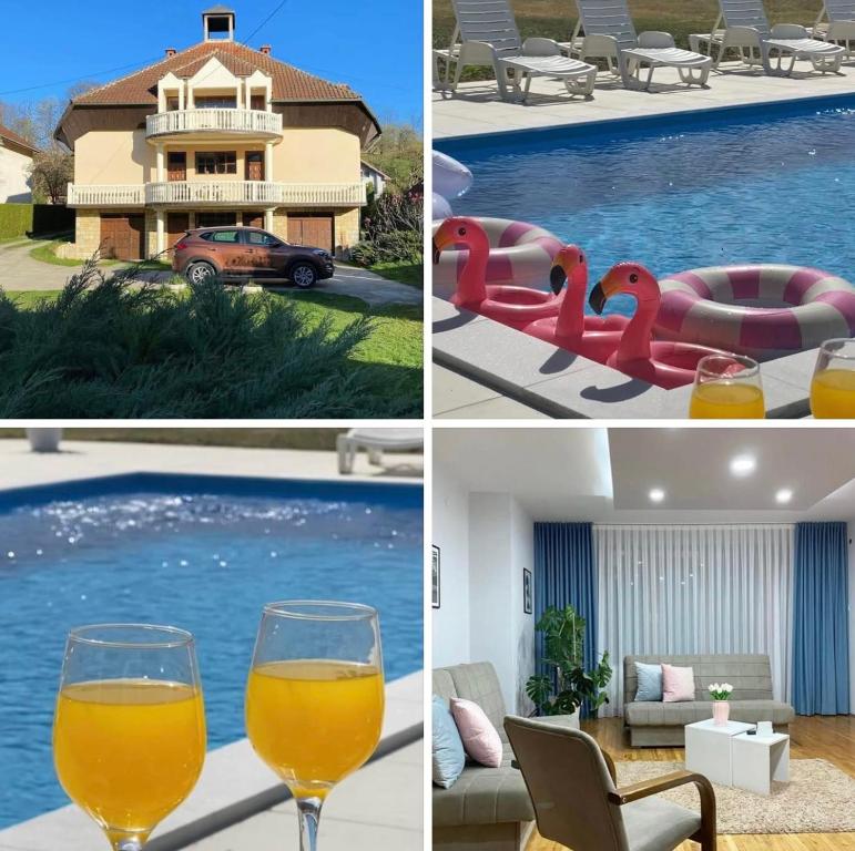 a collage of photos with a pool and a glass of wine at Guest House Aleksandra in Bajina Bašta
