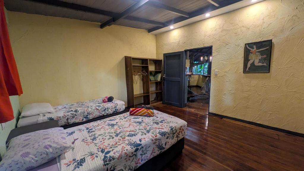 Room at Tree House Beachfront Lodge
