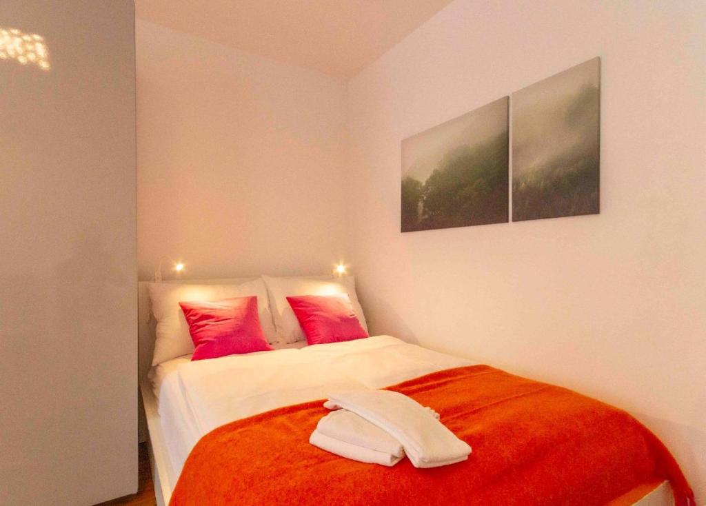 Central Confort Renovated Apartment