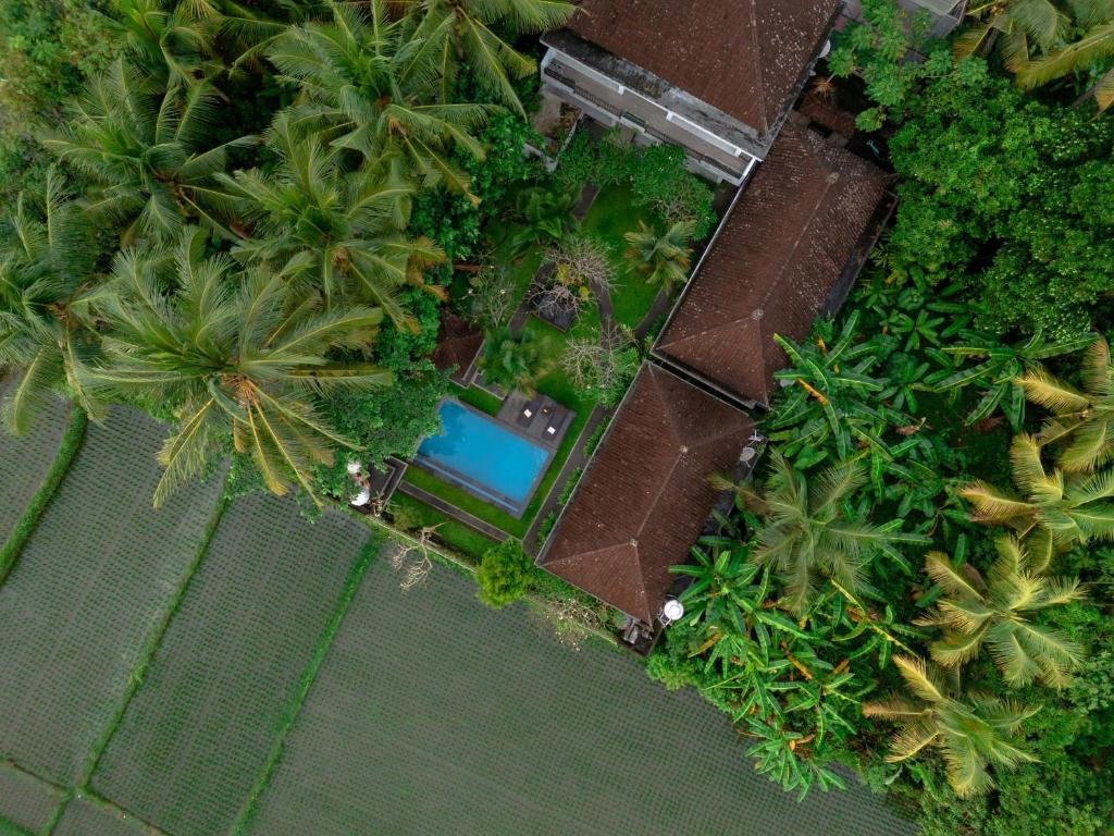 an overhead view of a garden with palm trees and a pool at Ayu Shanti Guest House Ubud in Ubud