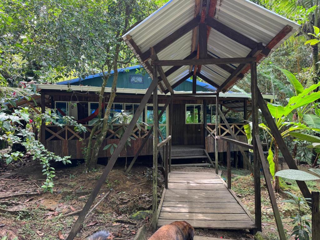 a building with a wooden walkway in a forest at Donde Sergio - Acantilados in Buenaventura